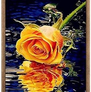 Meet your Posher, Debra